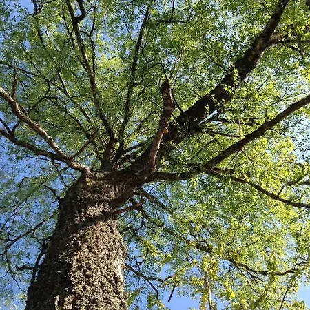 Breiva Gjestegaard Og Glamping Privatunterkunft Bo (Telemark)