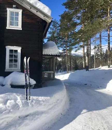 Breiva Gjestegaard Og Glamping Rum i privatbostad Bo (Telemark)