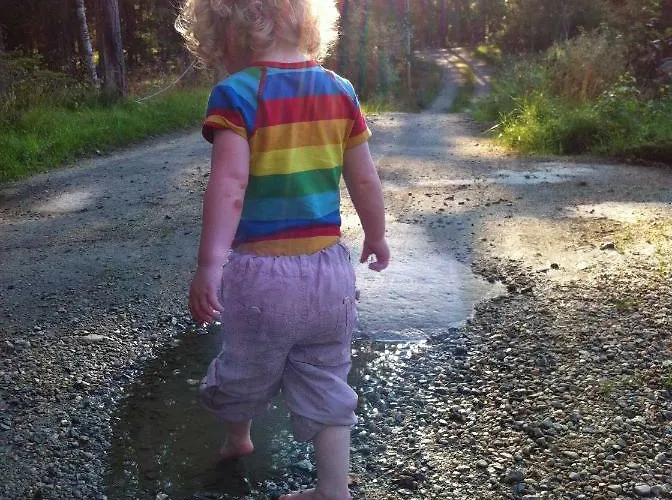 Breiva Gjestegaard Og Glamping Homestay *